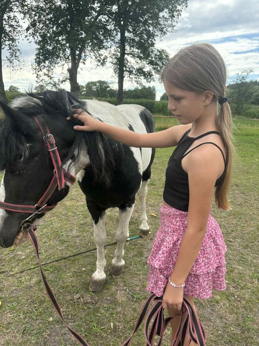 Klacz źrebak Princesa-F 5 miesięcy