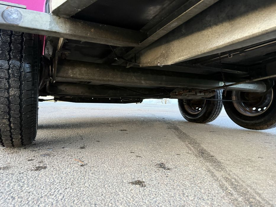 BOECKMANN Maro  selandia przyczepa do koni