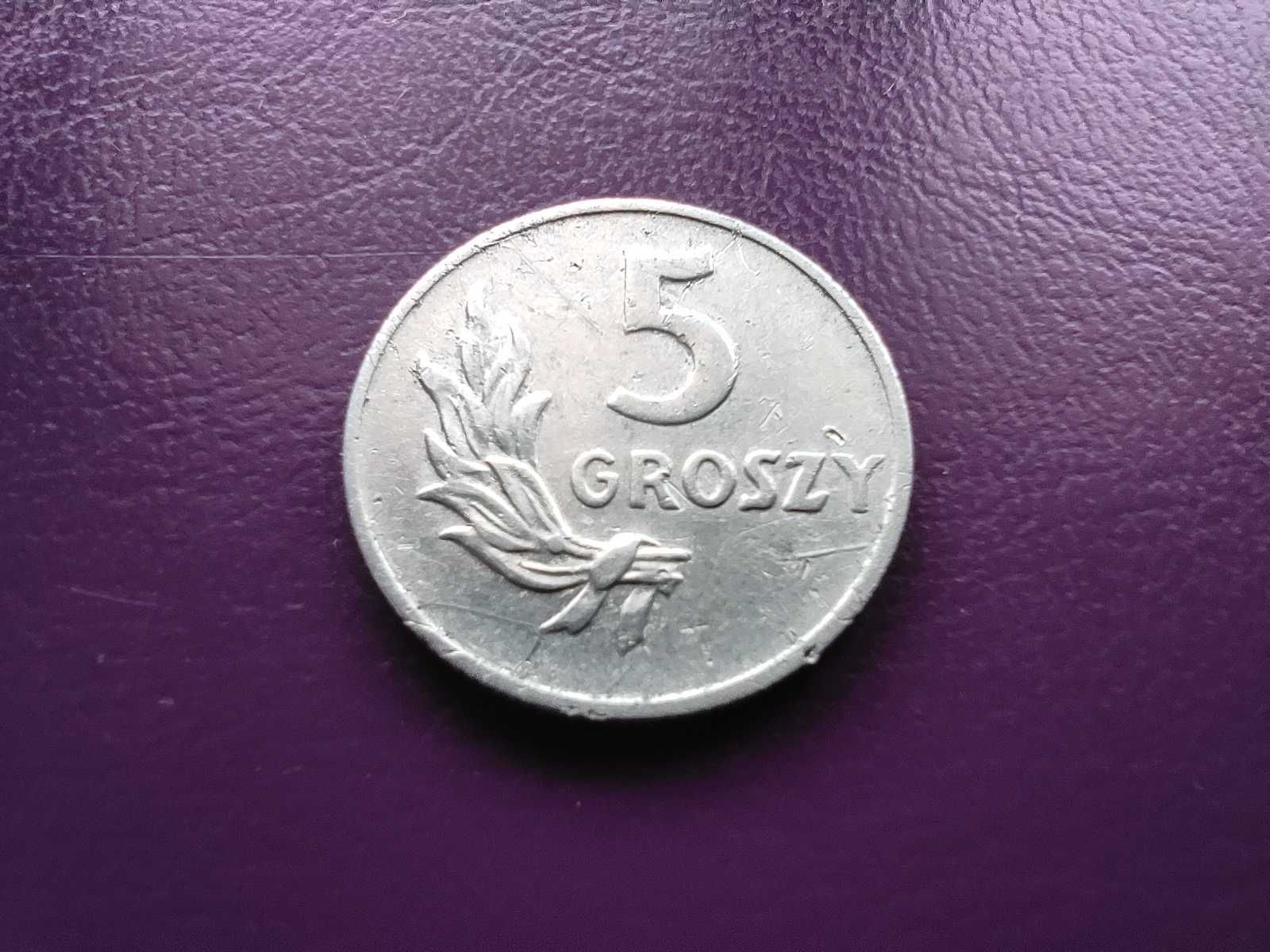 Moneta z PRL-u 5 groszy 1949 - Rzadka i ładna !