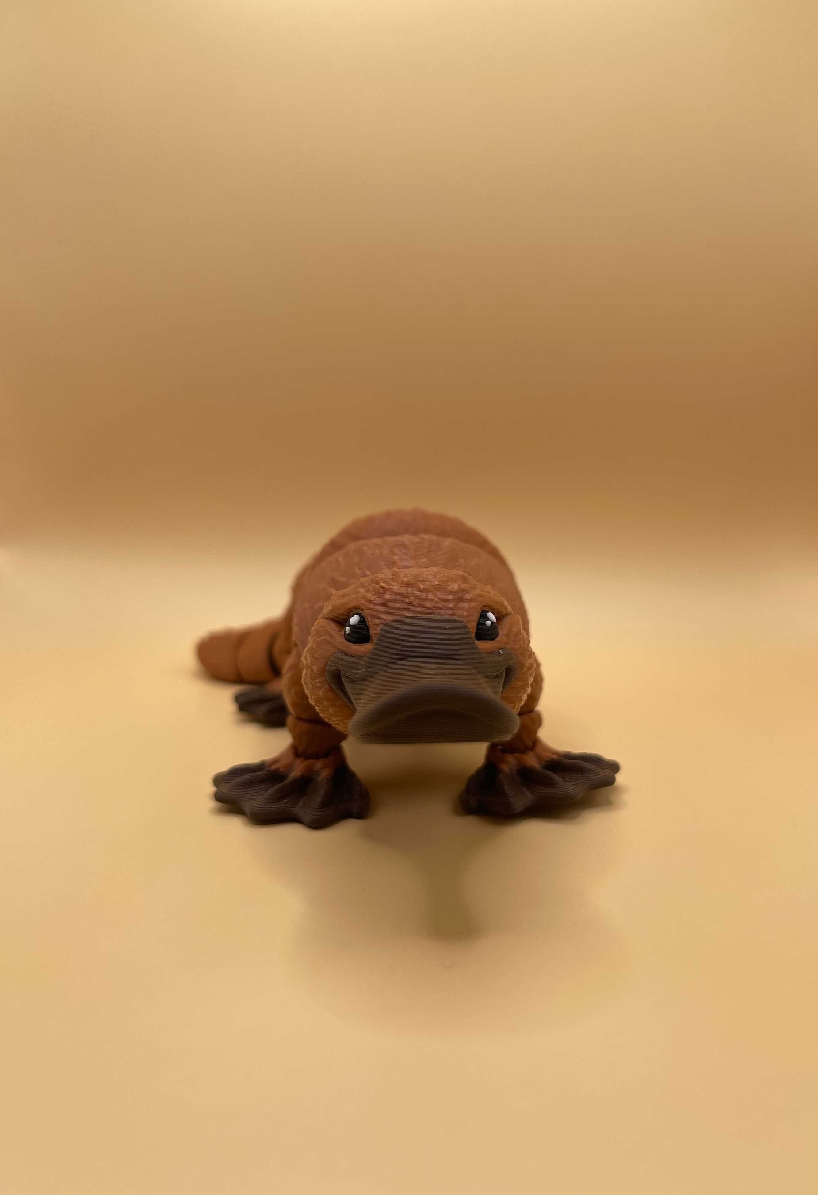 Figurka dziobak 3D "Flexi Platypus", zabawka