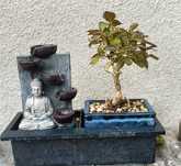 Bonsai fontana z drzewkiem