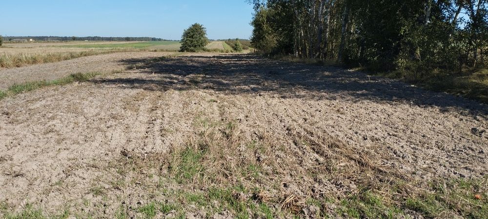 Sprzedam ziemię rolną