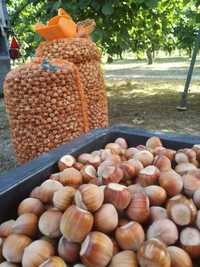 4 kg Orzech laskowy świeży worek