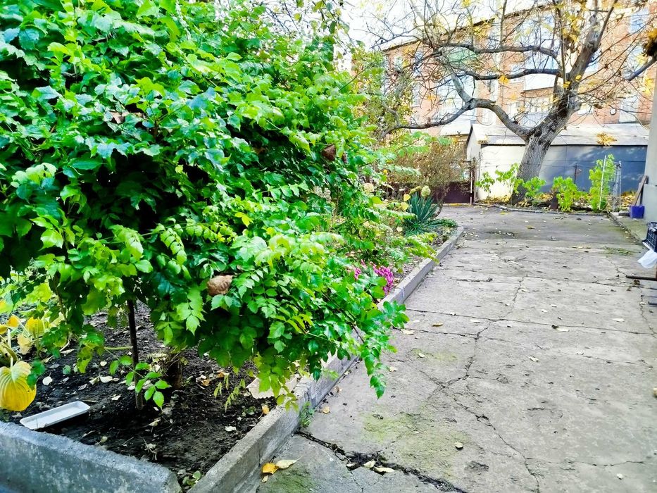 Продається будинок у центральній частині міста