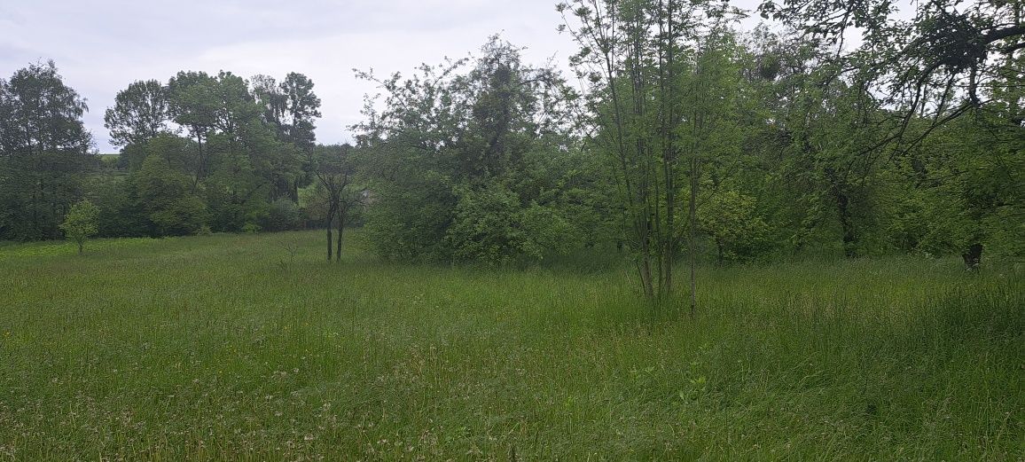 Будинок с.Дмитровичі +2,5га землі