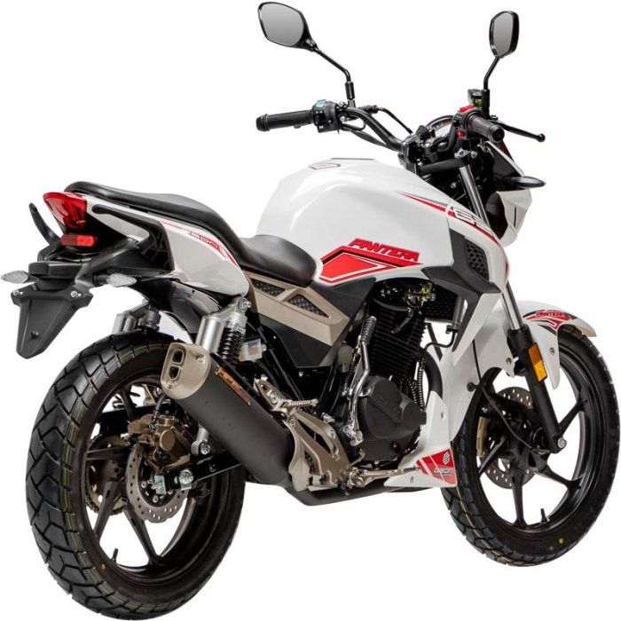 2025 GEON Pantera 250 CB 17/17 ON-ROAD Новий мотоцикл