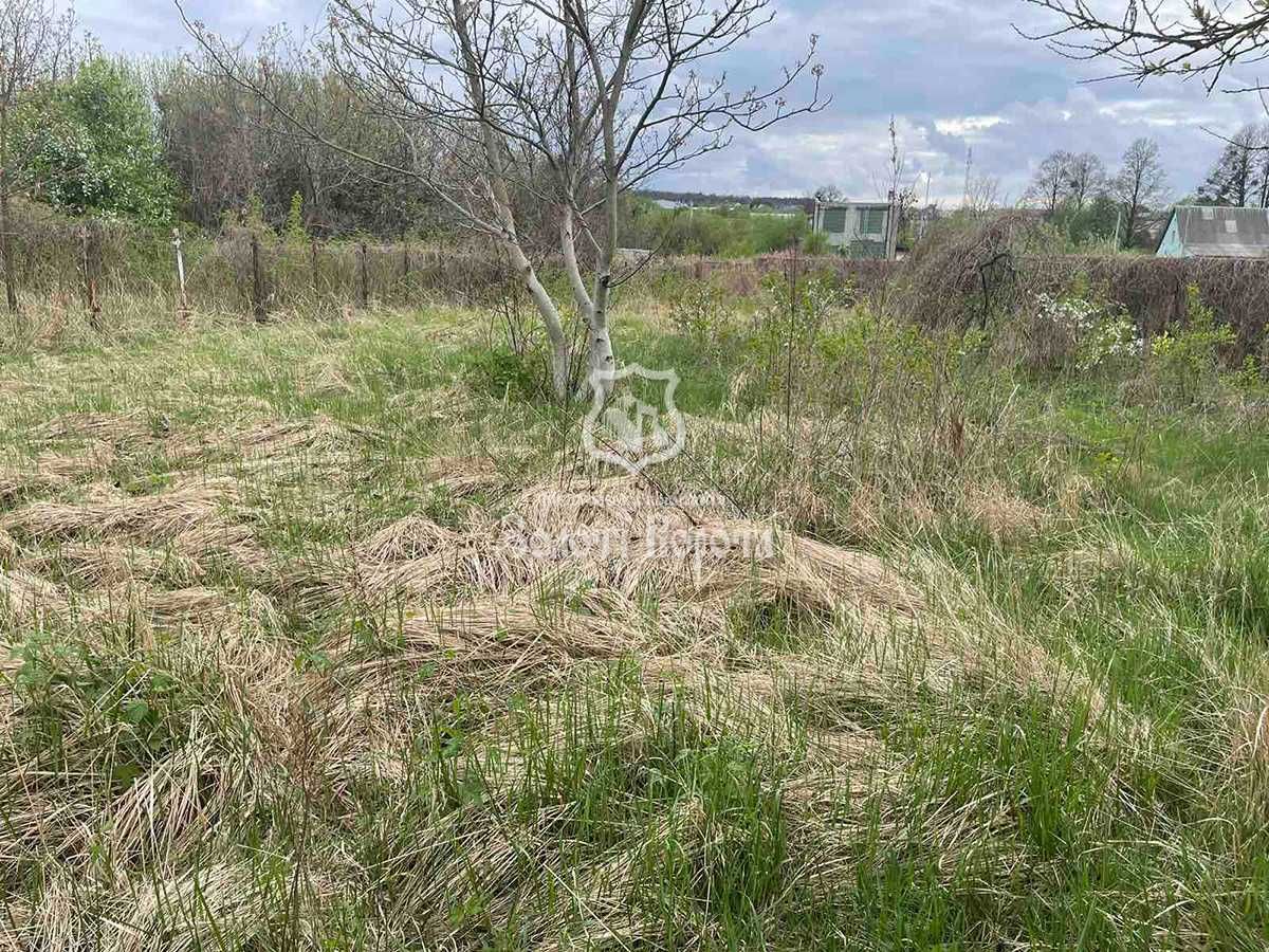 Дві великі земельні ділянки поруч, під забудову, Горенка (Пуща Водиця)