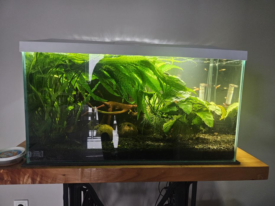 Sprzedam akwarium 105l aquael