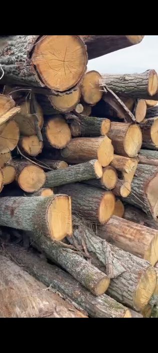 SUCHE Drewno kominkowe Konstantynów Łódzki Kwiatkowice Ksawerów Rąbień