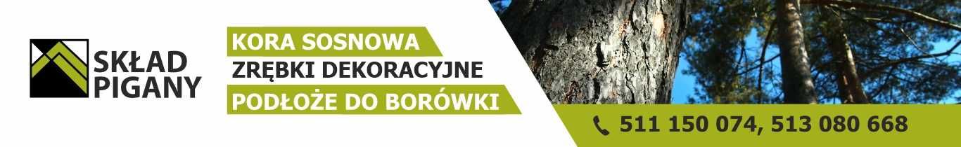 Podłoże pod borówkę