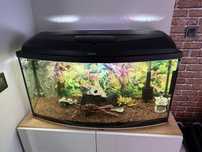 Sprzedam akwarium 120 L