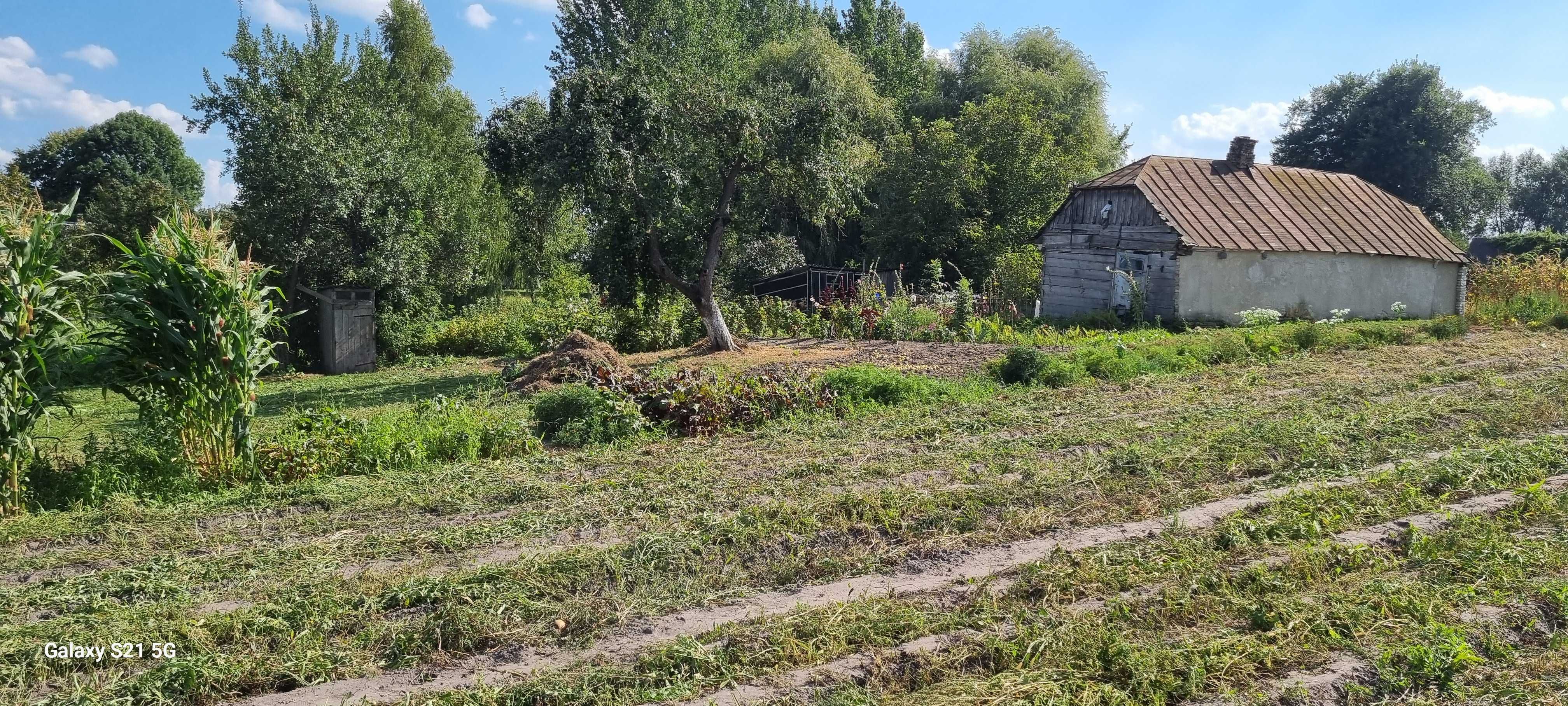 Будинок з земельною ділянкою