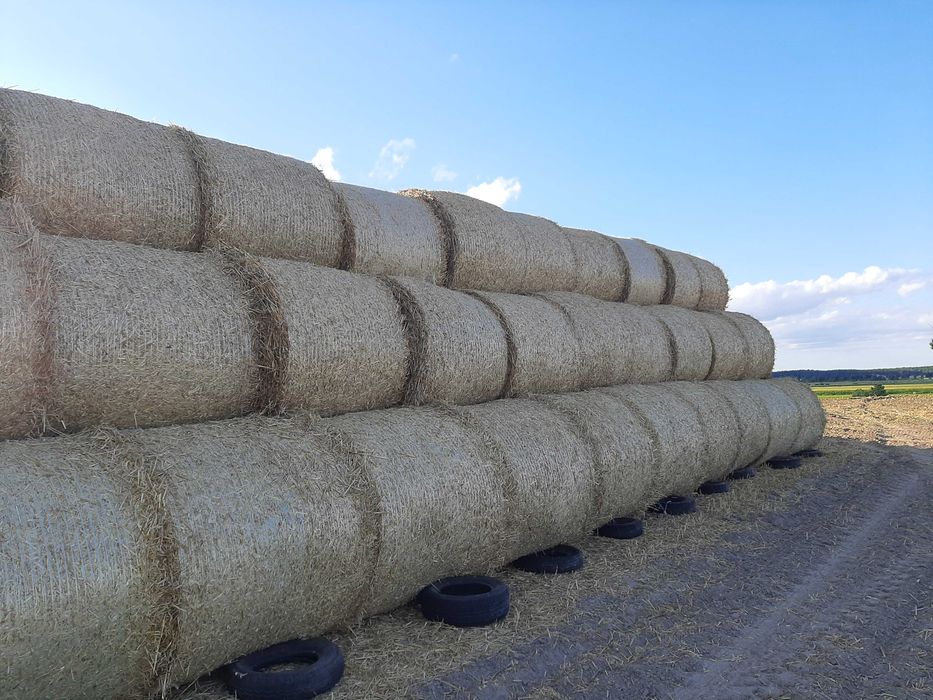 Słoma Tegoroczna, Siano, Sianokiszonka 120X130