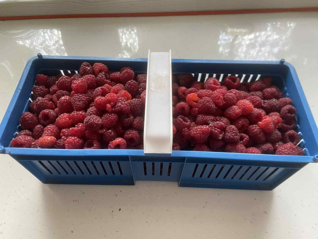 Sprzedam maliny!