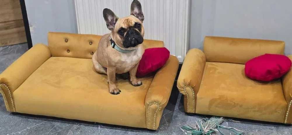 Duże legowisko kanapa sofa dla psa kota