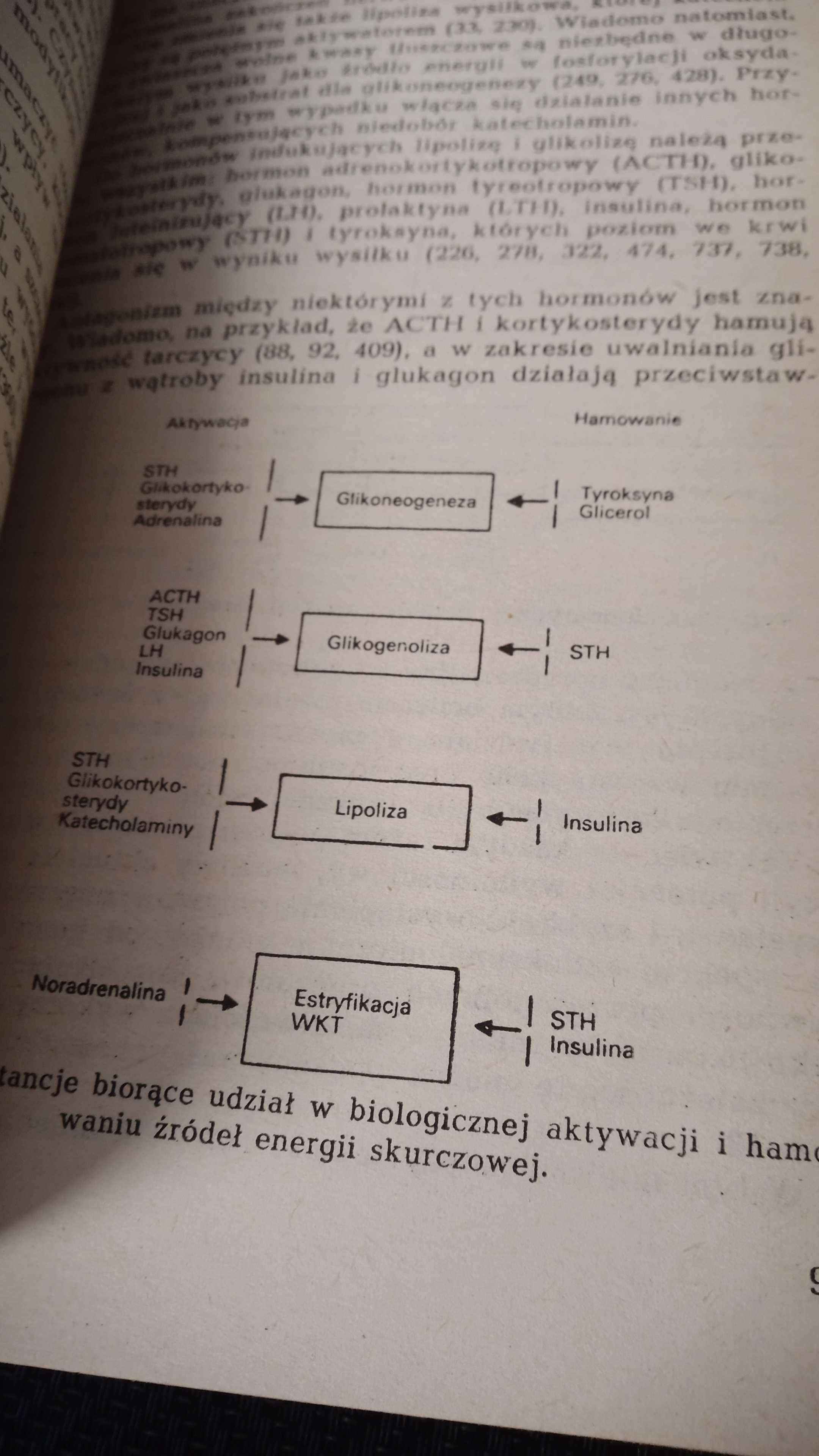 Zmęczenie jako problem współczesnej cywilizacji Zbigniew Jethona