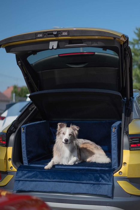 Zabudowa bagażnika do transportu psa