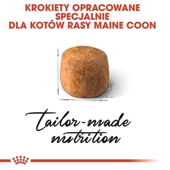 Zdrowa karma dla kotów dorosłych rasy maine coon - Royal Canin 4kg