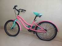 Bicicleta de menina_Roda de 20 polegadas_7 a 11 anos