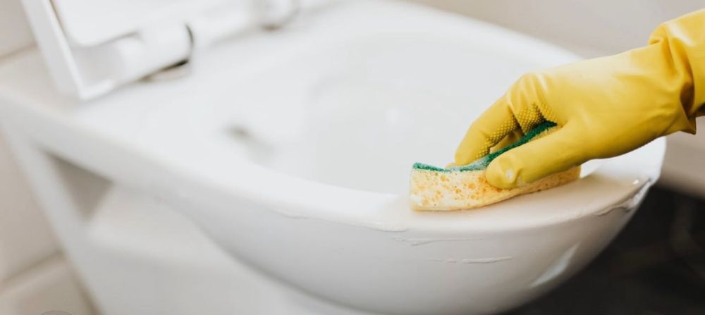 Organização e limpeza de casas, escritórios, salas…