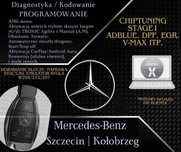 Star Diagnosis, SD, Star Diagnoza,Diagnostyka Mercedes Pilot, Menu AMG