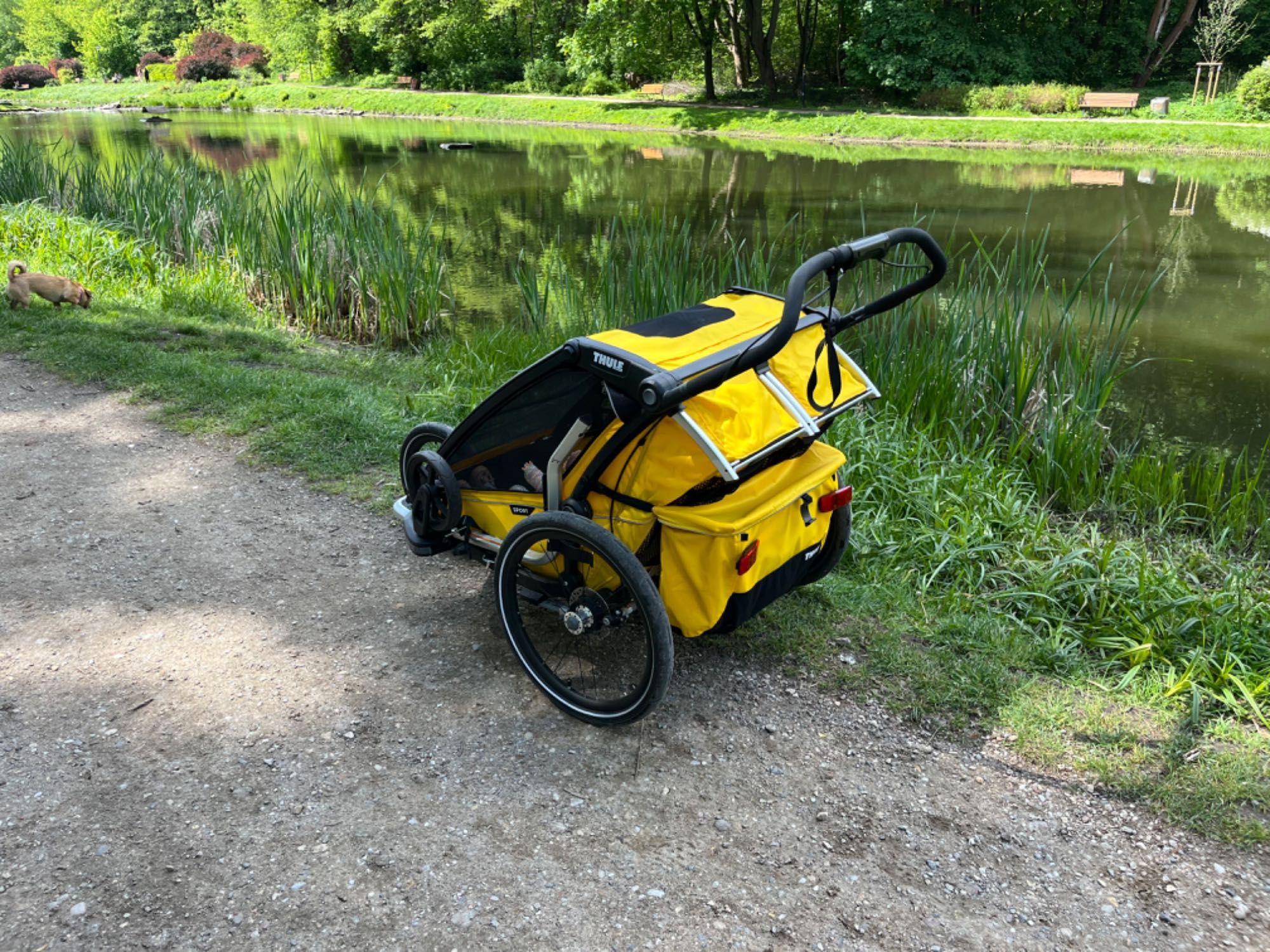 Thule Chariot Sport 2 Gratis Jogging Kit i hamaczek dla niemowląt