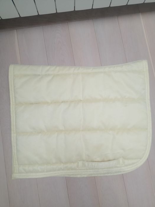 Czaprak york fair Play eskadra Kentucky