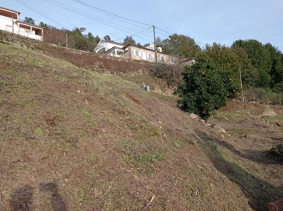 Terra para aterro / Terreno para pastoreio