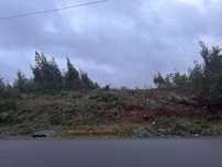 Vendo Terreno Canedo