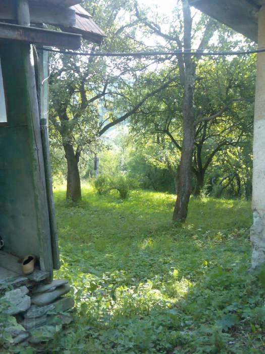продается дом(50 соток земли) в Закарпатье - Нижние Ворота
