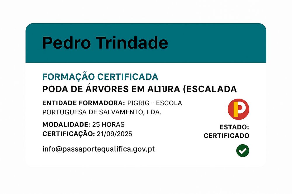 Corte e limpeza de árvores