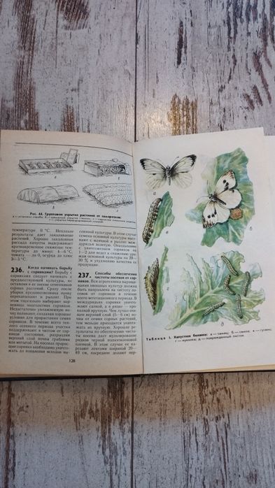 Книга,,800 практических советов огородніку -любителю,,