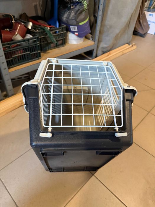 transporter jeż królik inne