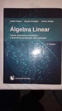 algebra linear teorias exercicios resolvidos propostos com soluções