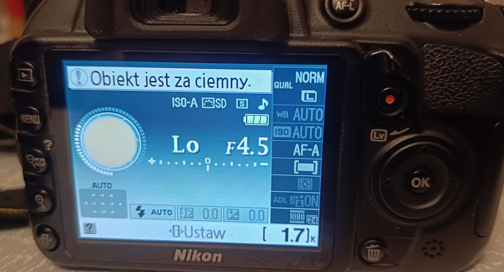 Aparat Nikon D3100