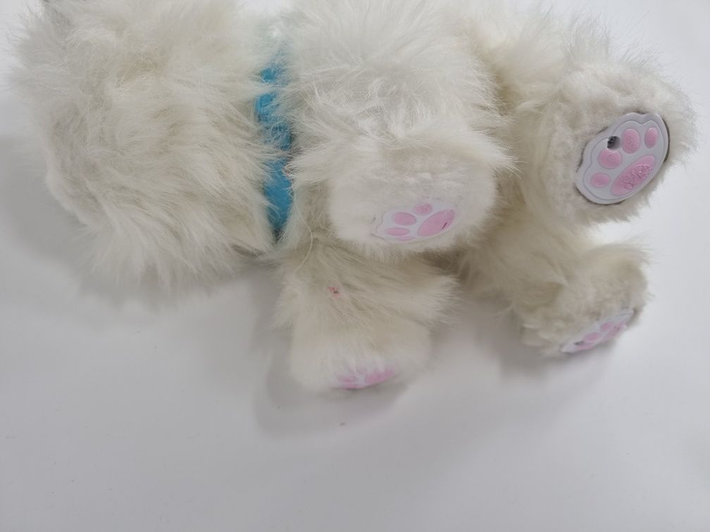 Interaktywny kot cobi little live pets