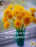 Просмотрим за вашей домом или дачей, в Киеве или Киевской области.