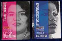 Col Feminismos Plurais, Interseccionalidade e Transfeminismo [Pr Conj]