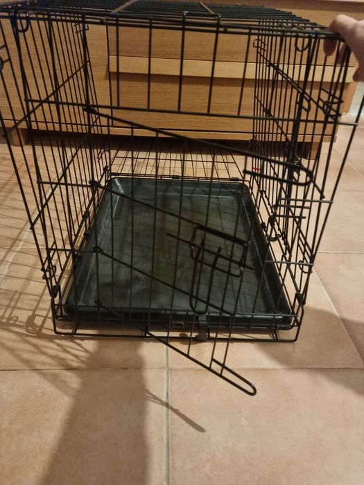 Transportadora cão porte pequeno