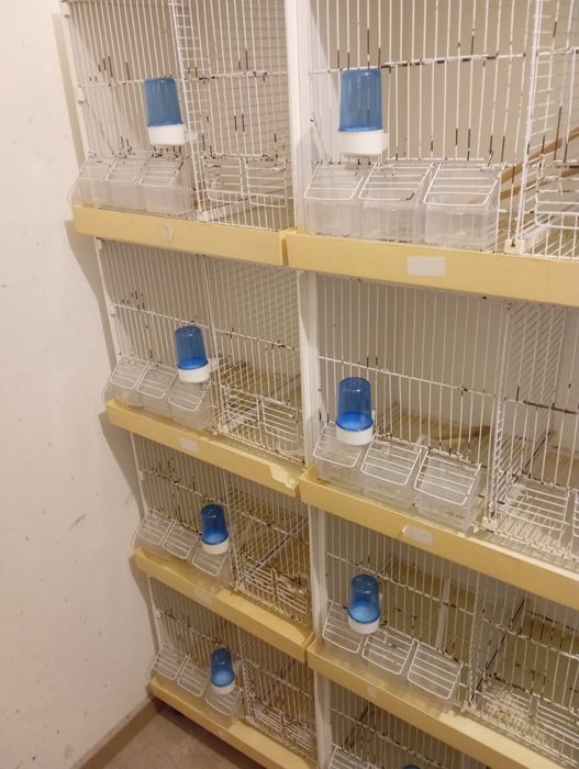 Viveiros PVC 8 buracos