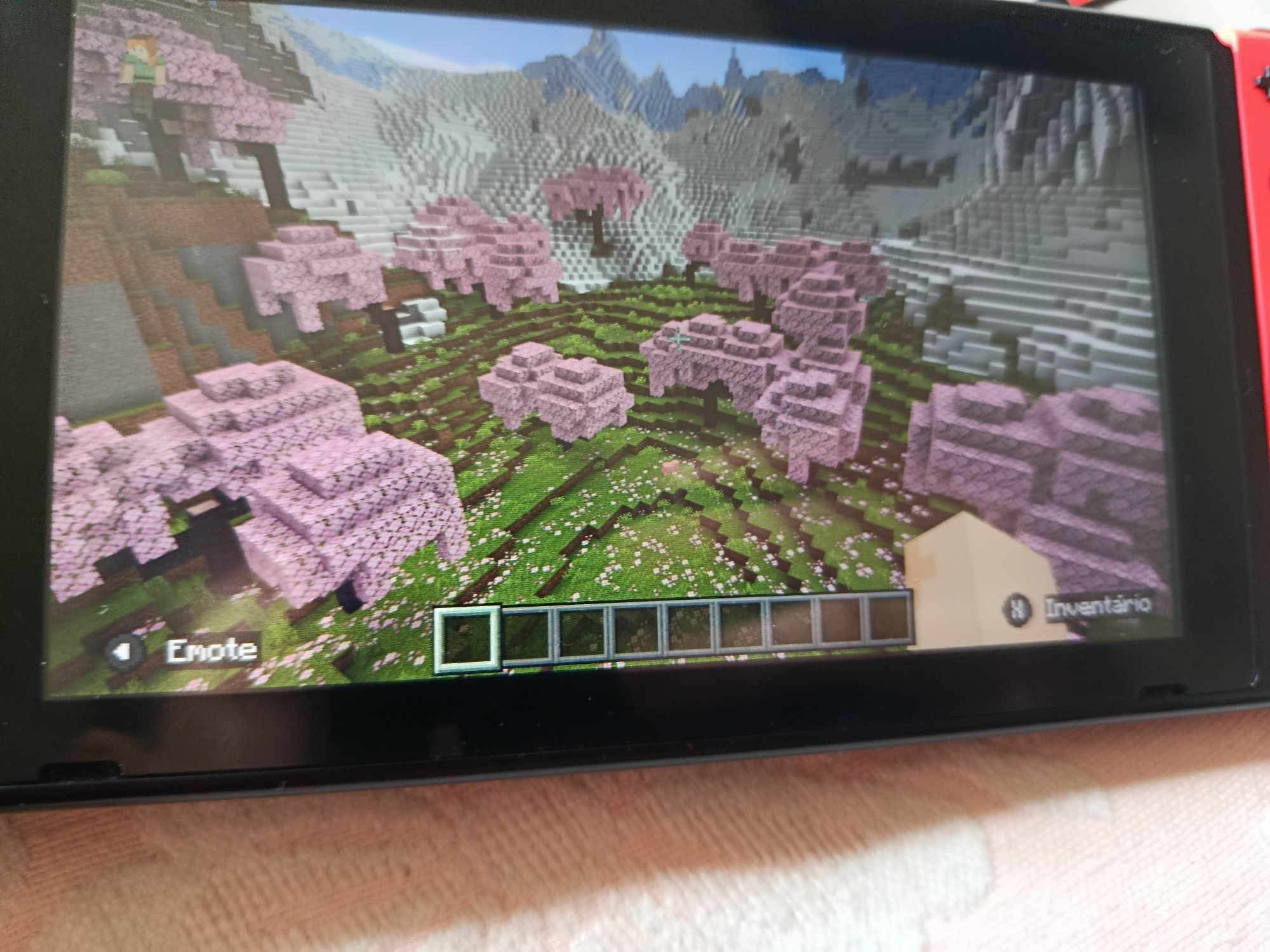 Minecraft Nintendo switch