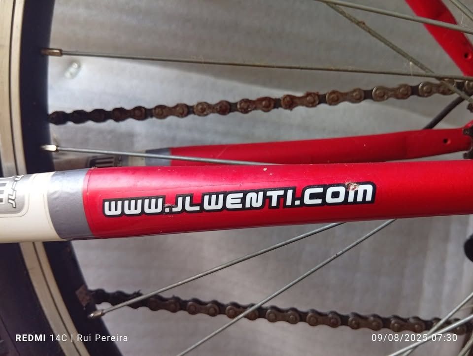 Bicicleta Jl-Wenti Tronco