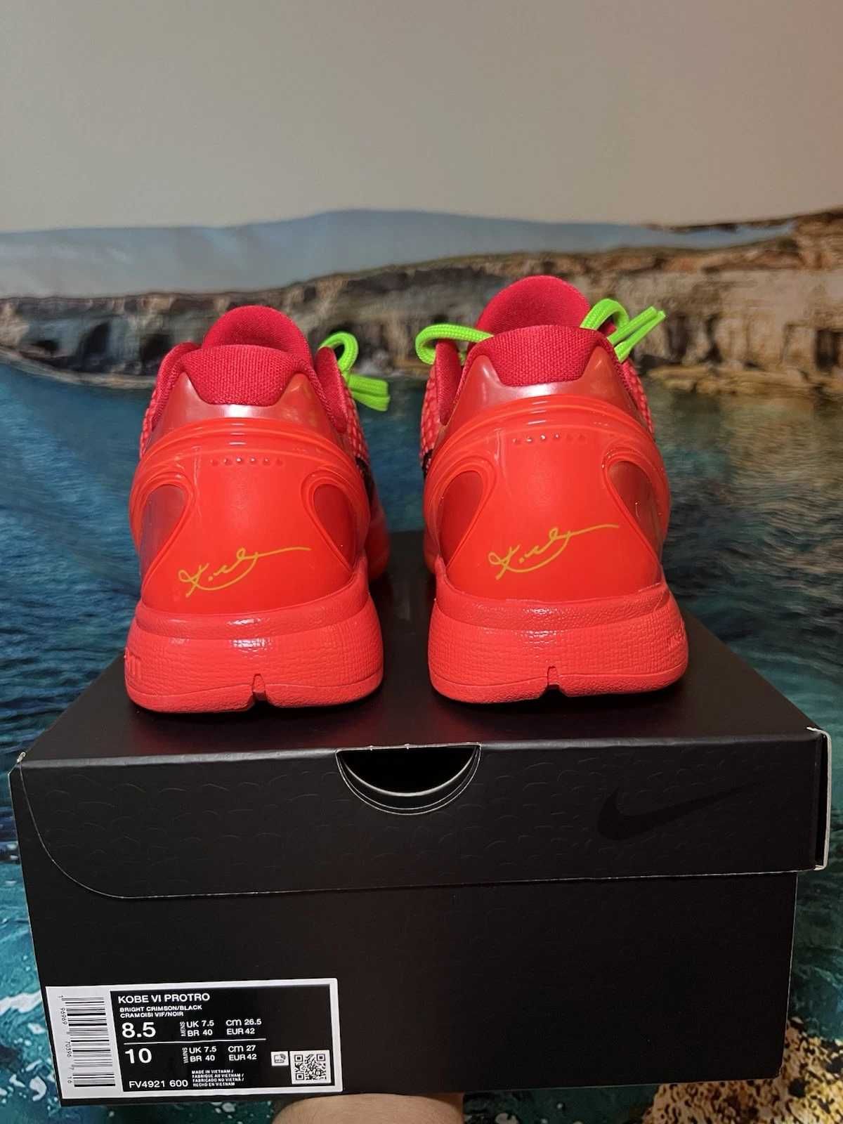 Nike Kobe 6 Protro Reverse R.46