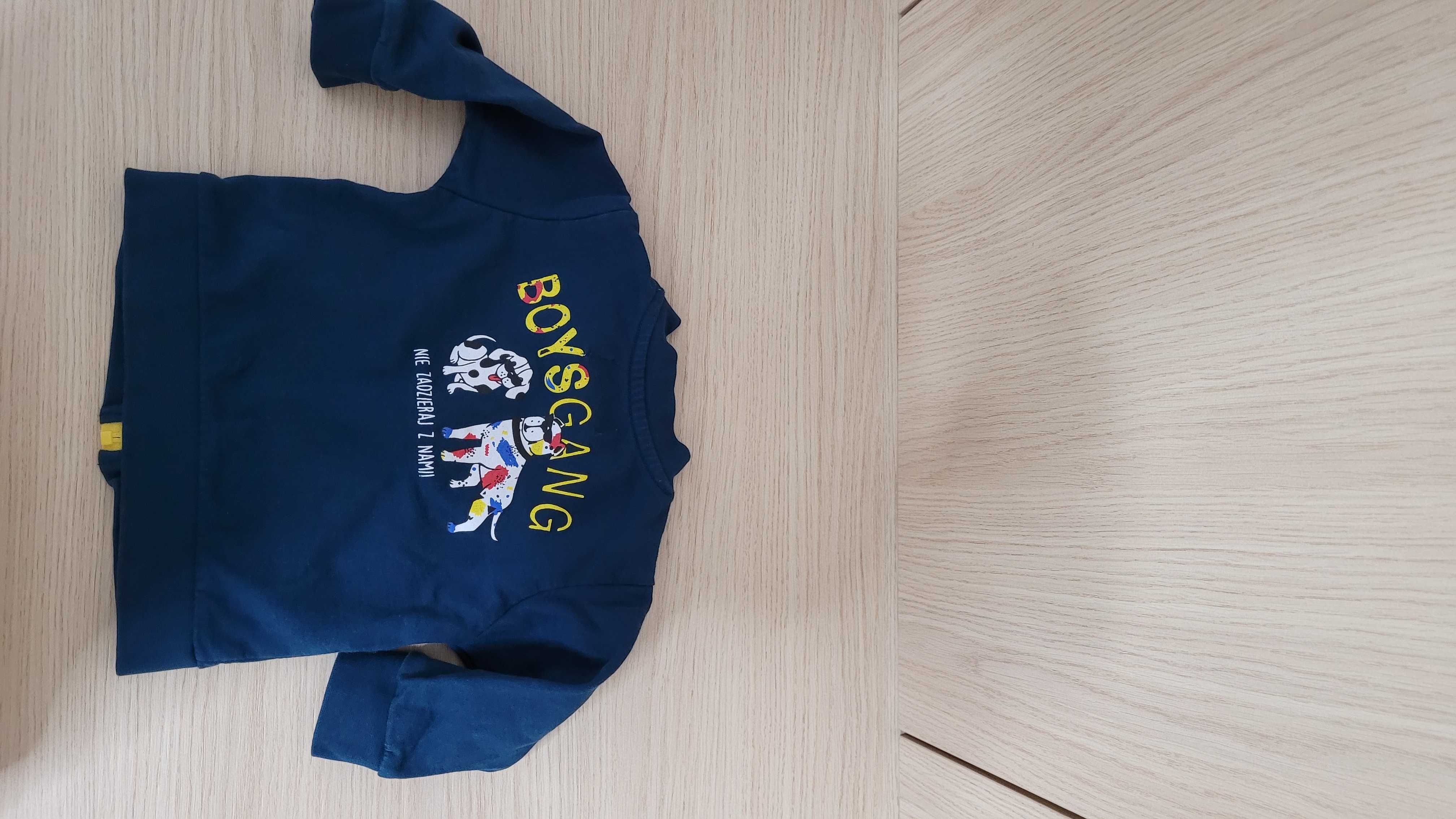 Bluza niemowlęca chłopięca - 5.10.15 - rozm. 68