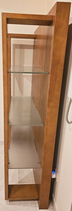 Estante elegante de vidro e madeira nova