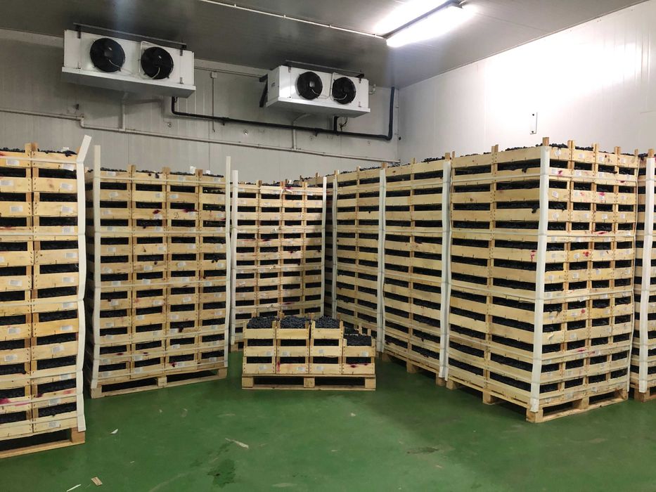 Magazyn chłodnia hala komora magazynowanie przeładunki 300 m2 Błonie