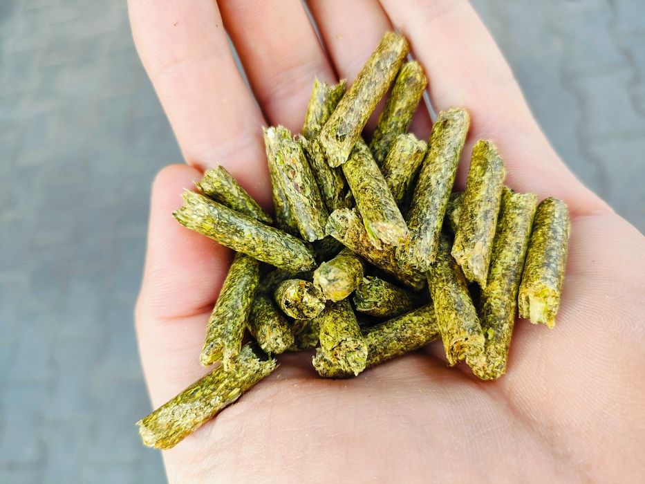 Susz z lucerny, lucerna granulowana - cena brutto z dostawa