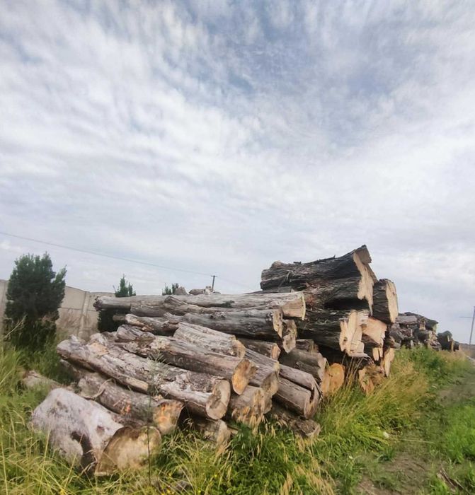 Sprzedam kłody drewna liściastego różne długości i  średnice