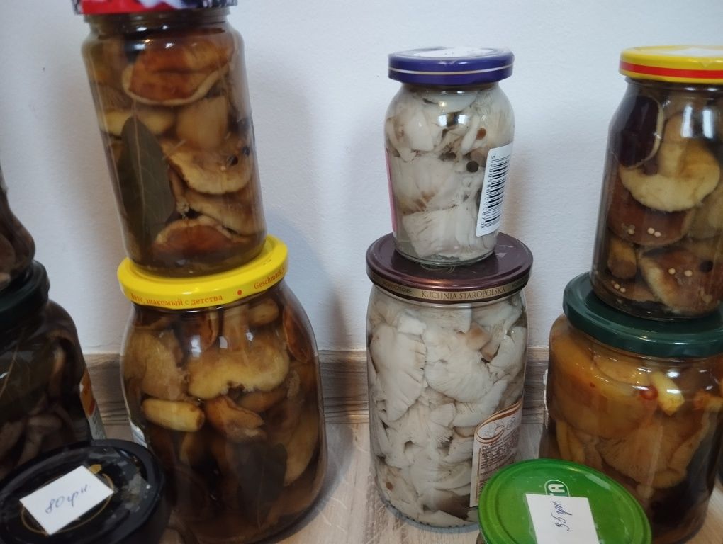 Грибы маринованные вешенка,опята,польский,говорушка,зеленушка,рядовка