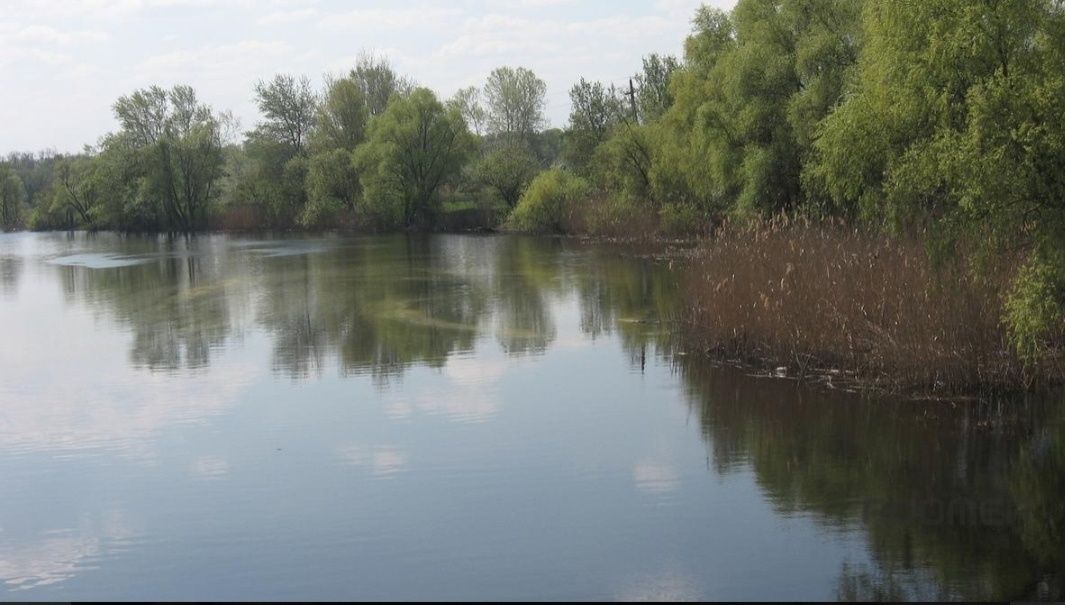 Оренда екобудинку в Миргороді біля річки